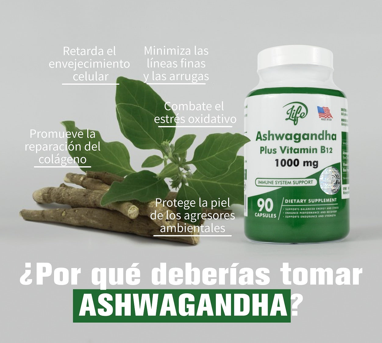 ASHWAGANDHA plus y vitamina b12 X 90 cps