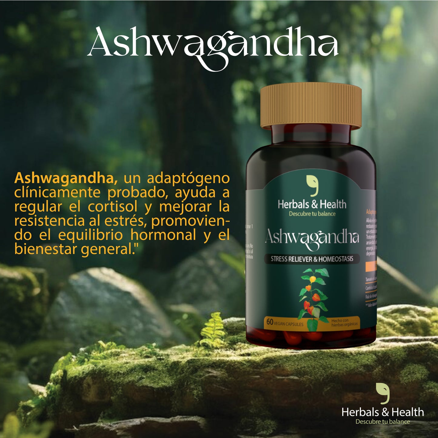 ASHWAGANDHA 60 CAPS